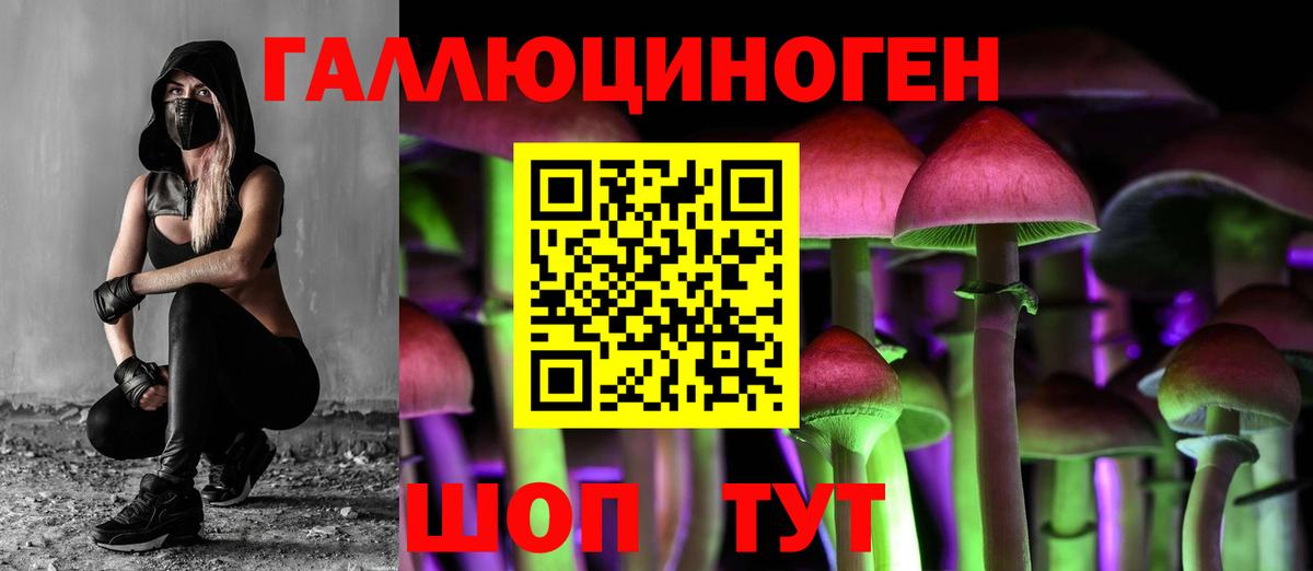Псилоцибиновые грибы Psilocybe  Псилоцибиновые грибы Magic Shrooms  Выкса  Вход с VPN 